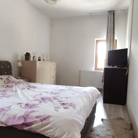 Bed & Breakfast Casa Irina Navodari